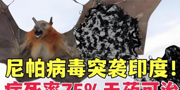 春节出行非必要不前往疫区