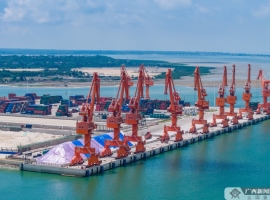 双喜临门！玉林市外贸平台建设取得新突破