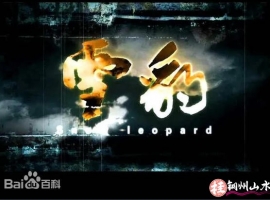 雪豹 2010年文章主演的电视剧