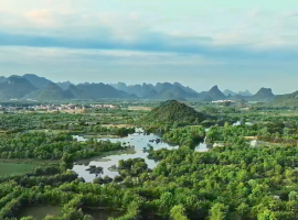 绿动广西 | 在这一片秀美的喀斯特湿地，鹭影翩跹