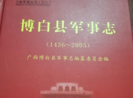 一段消逝的地方少数民族武装保境安民史——广西狼兵的历史