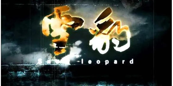 雪豹 2010年文章主演的电视剧