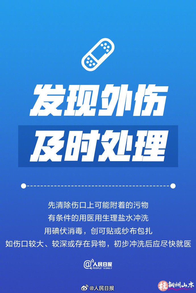 17835833673794371_web.jpeg