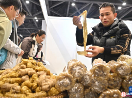 广西南宁：逛大集 寻年味