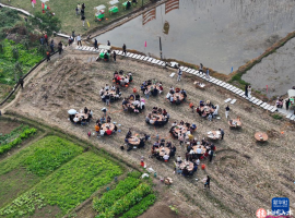 可爱的乡村——农文旅融合助力乡村经济发展