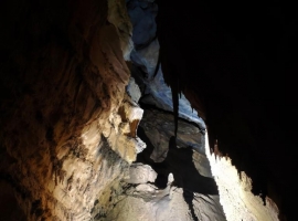 地心回响：在乐业天坑，探秘古老的地质画卷