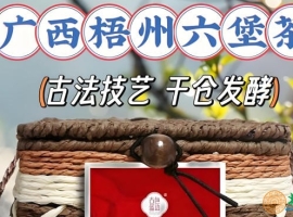 依托龙头企业带动集群发展 万秀区持续推动六堡茶产业提质升级 ...