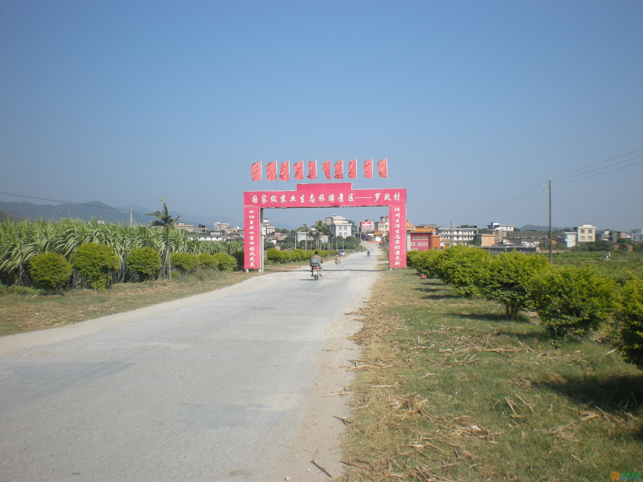 DSCN0856.JPG