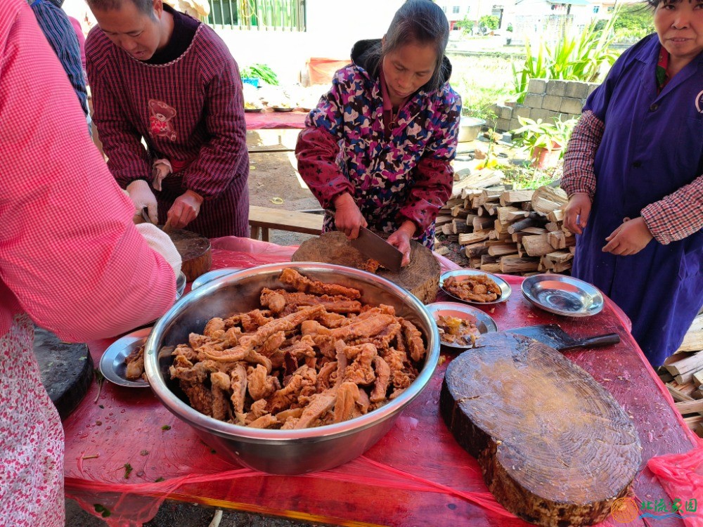 IMG20230129113152.jpg